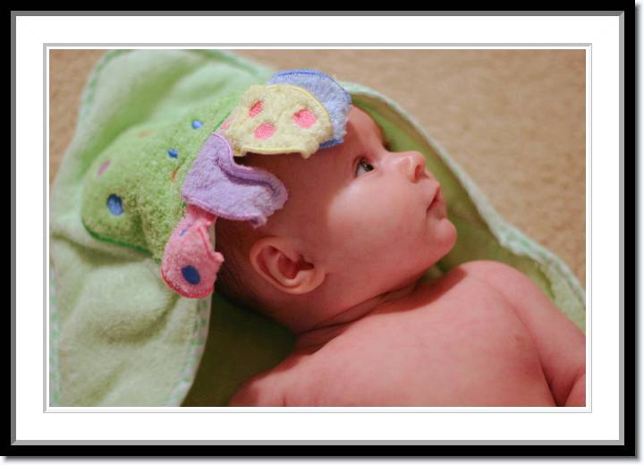 Click for the original image